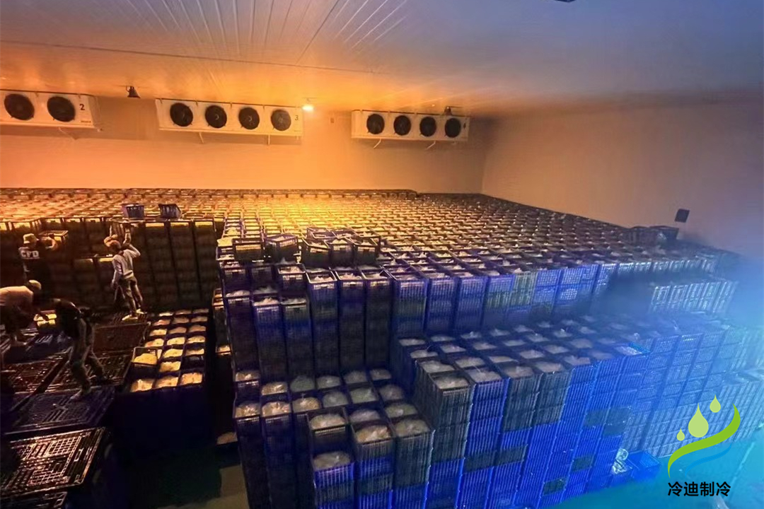 1000立方冷庫可以存多少噸？用多大制冷設(shè)備？